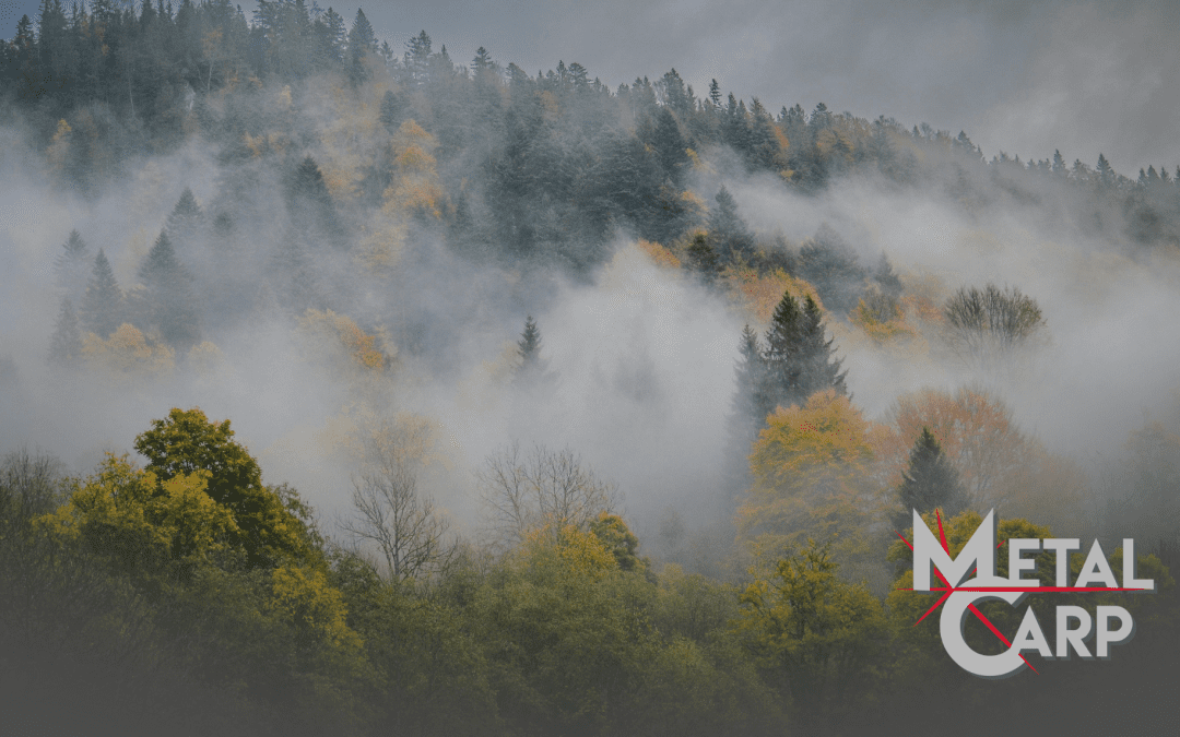 Chiusura aziendale Immacolata 2025